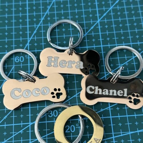 Ig hera coco chanel - Perros Chidos